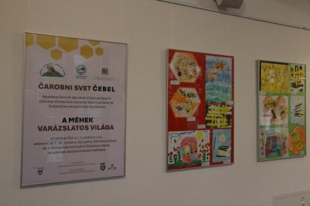 2024-12-06 12-43-40 - 0274